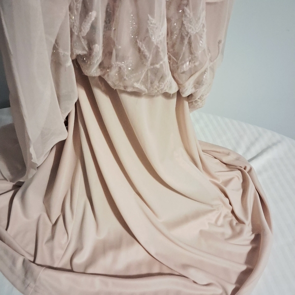 Blush Pink Beaded Illusion Evening Gown Size 14W - Picture 11 of 16